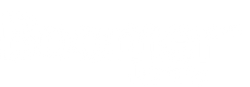 Boomer de Proyectos
