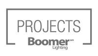 Boomer de Proyectos